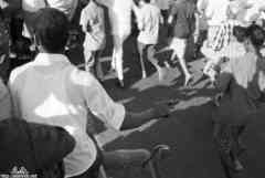 انقر للحصول على حجم اكبر